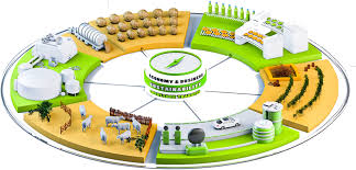 Conseils en Agriculture Circulaire